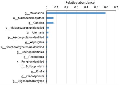 Upper respiratory tract mycobiome alterations in different kinds of pulmonary disease